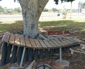 Barcaldine Musical Instruments - Tourism Caloundra 0