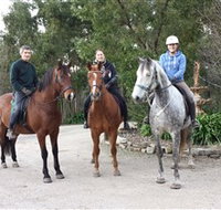 Academy of Dressage - Tourism Caloundra