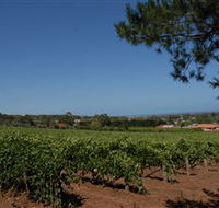 Grancari - Tourism Caloundra