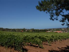 Grancari - Tourism Caloundra 0