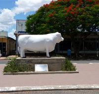 Aramac - The White Bull - Tourism Caloundra
