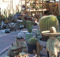 Cactus Creations - Tourism Caloundra