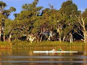 Martin Bend Reserve - Tourism Caloundra 0