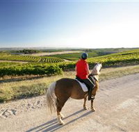 Kidman Trail - Tourism Caloundra