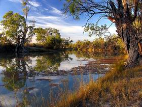 Murray River National Park - Tourism Caloundra 0