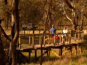 Loxton's Drives, Walks And Trails - Tourism Caloundra 0