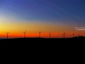 Starfish Hill Windfarm - Tourism Caloundra 0