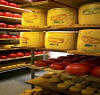 Alexandrina Cheese Company - Tourism Caloundra