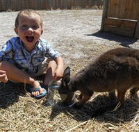 Animal Farm Goolwa - Tourism Caloundra