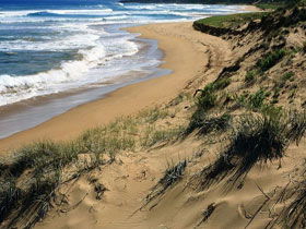 Waitpinga SA Tourism Caloundra