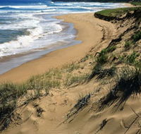 Newland Head Conservation Park - Tourism Caloundra