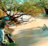 Charleville - Ward River Fishing Spot - Tourism Caloundra