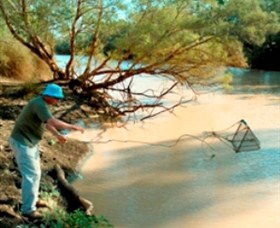 Charleville - Ward River Fishing Spot - Tourism Caloundra 0