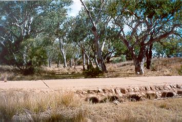Charleville - Ward River Fishing Spot - Tourism Caloundra 1