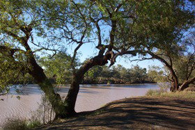 Charleville - Bakers Bend Warrego River Fishing Spot - Tourism Caloundra 1