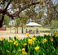 Charleville - Graham Andrews Parklands - Tourism Caloundra