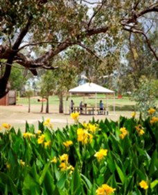Charleville - Graham Andrews Parklands - Tourism Caloundra 0