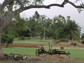 Charleville - Graham Andrews Parklands - Tourism Caloundra 2