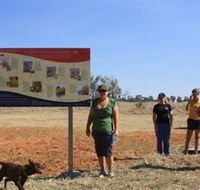 Coolibah Walk - Tourism Caloundra
