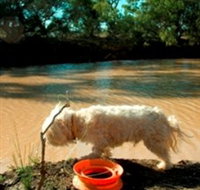 Charleville - 27 Mile Warrego River Fishing Spot - Tourism Caloundra