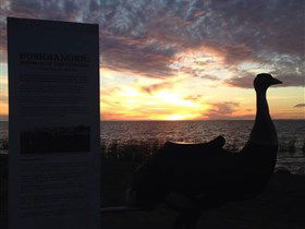 Meningie's Pelican Path - Yunti Ngopun Ngami - Tourism Caloundra 2