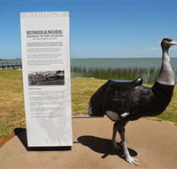 Birdman of the Coorong - Tourism Caloundra