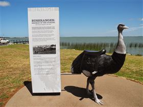 Birdman Of The Coorong - Tourism Caloundra 0
