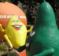 Orange World - Tourism Caloundra