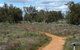 Grasslands Nature Trail - thumb 0