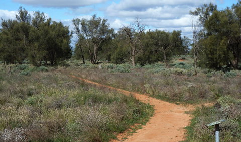 Grasslands Nature Trail - Tourism Caloundra 0