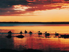 Coorong National Park - Tourism Caloundra 1