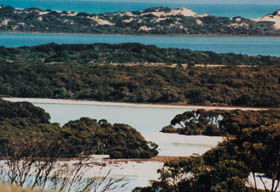 Coorong National Park - Tourism Caloundra 2