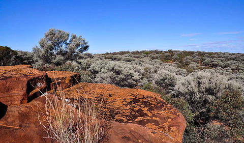 Mount Grenfell Historic Site - Tourism Caloundra 0