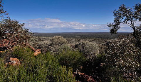 Mount Grenfell Historic Site - Tourism Caloundra 1