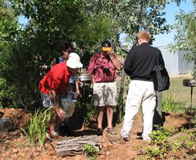 Mount Surprise Gems - Tourism Caloundra 2