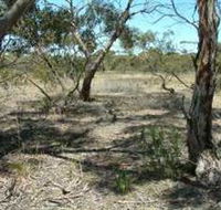 Tintinara Walking Trail - Tourism Caloundra