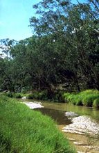 Salvator Rosa Section - Carnarvon National Park - Tourism Caloundra 0