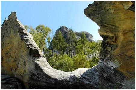 Salvator Rosa Section - Carnarvon National Park - Tourism Caloundra 1