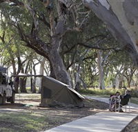Wallam Creek Bollon - Tourism Caloundra