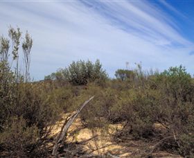 Wyperfeld National Park - Tourism Caloundra 0
