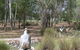 Centenary Park - thumb 1
