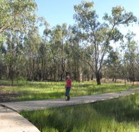 Ben Scott Memorial Bird Trail - Tourism Caloundra