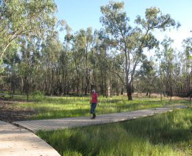 Ben Scott Memorial Bird Trail - Tourism Caloundra 0