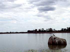 Theresa Creek Dam - Tourism Caloundra 2