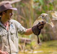 Territory Wildlife Park - Tourism Caloundra