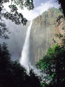 Wallaman Falls, Girringun National Park - Tourism Caloundra 1