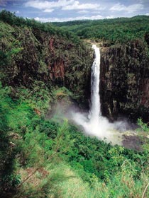 Wallaman Falls, Girringun National Park - Tourism Caloundra 3
