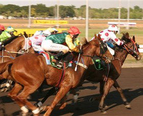 Darwin Turf Club - Tourism Caloundra 1