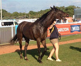 Darwin Turf Club - Tourism Caloundra 2