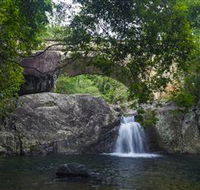 Paluma and Crystal Creek Rainforest - Tourism Caloundra